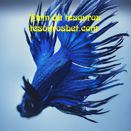 conquistas e desafios